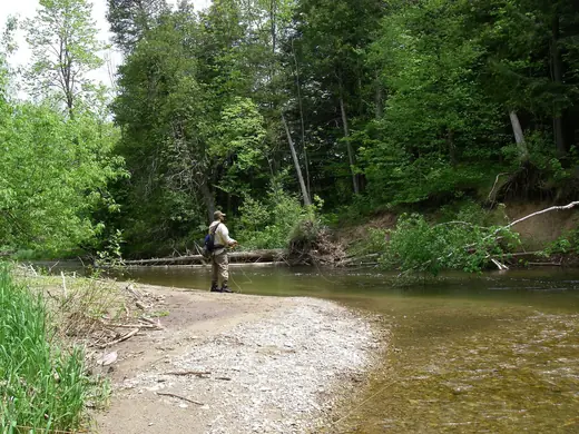 An angler wading a small clear stream, tight-lining through pocket water
