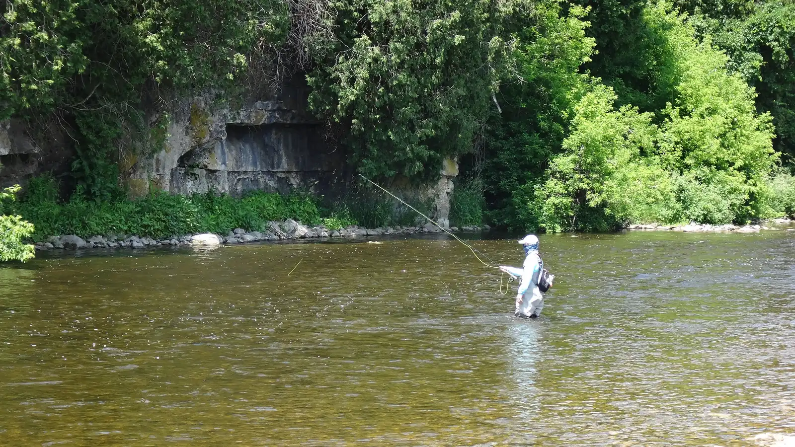 An angler wading a limestone-walled run on the Grand River