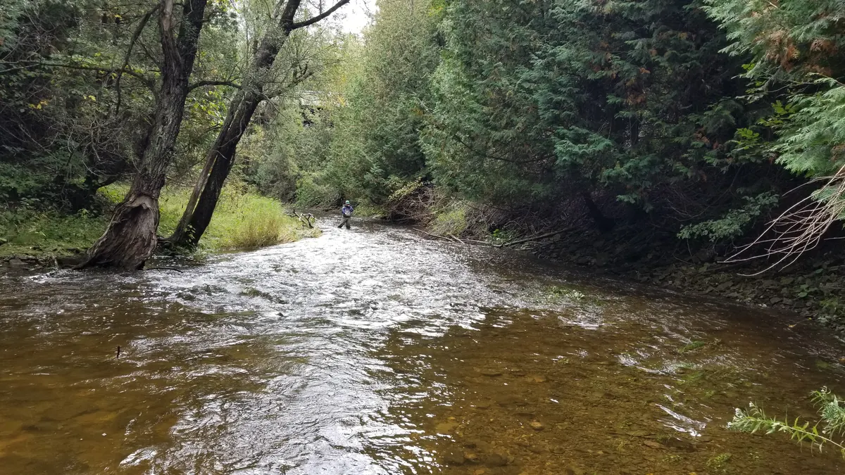 A clear Southern Ontario river running between wooded banks