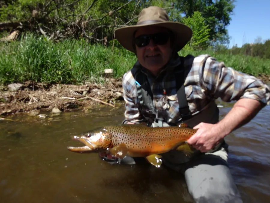 An angler releasing a trout into clear water