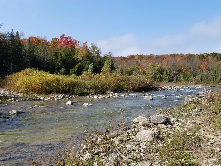 A wide shallow sweep of river, the kind of flat where carp are spotted